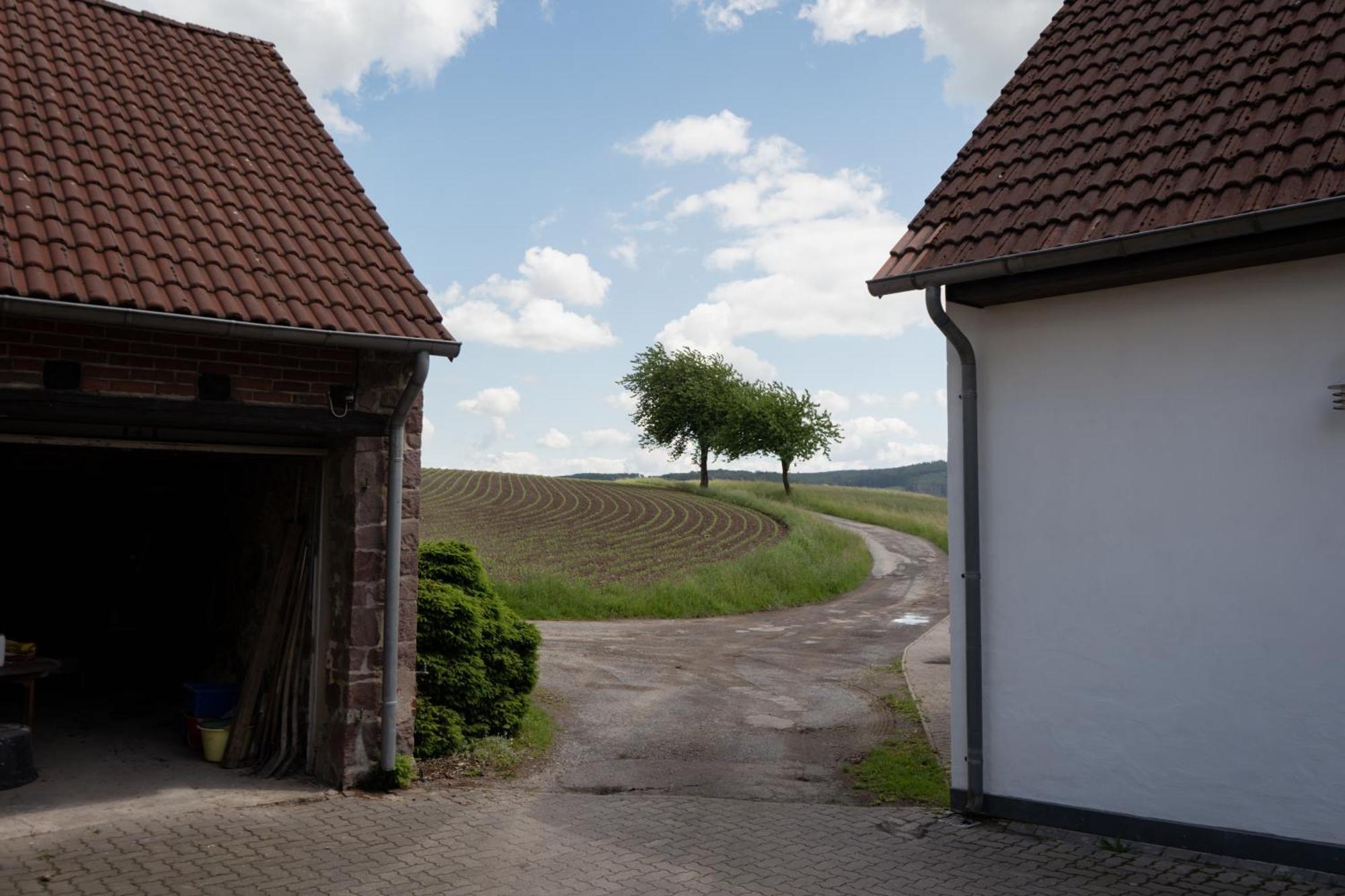 Idyllische Ferienwohnung Im Kalletal Экстерьер фото