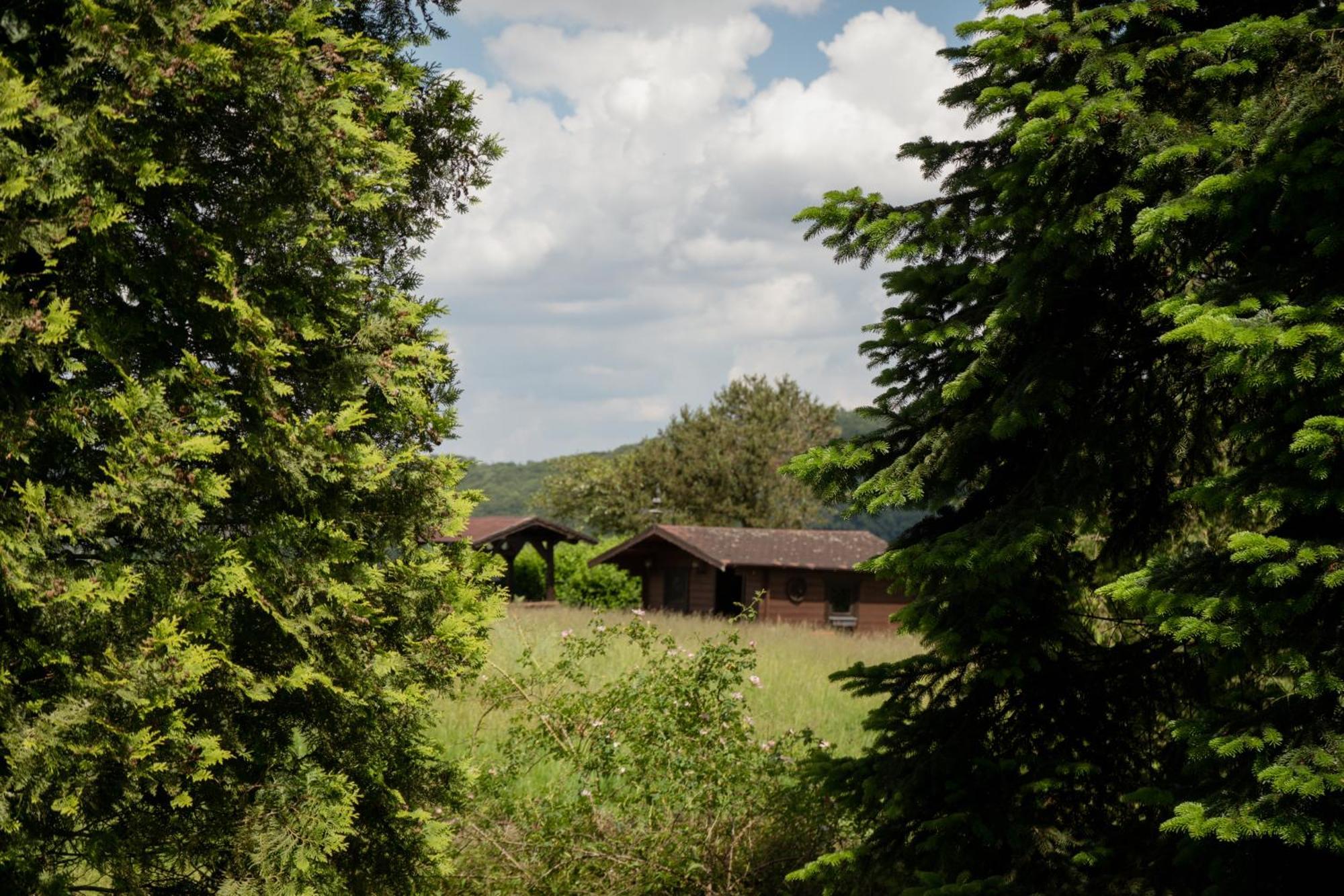 Idyllische Ferienwohnung Im Kalletal Экстерьер фото